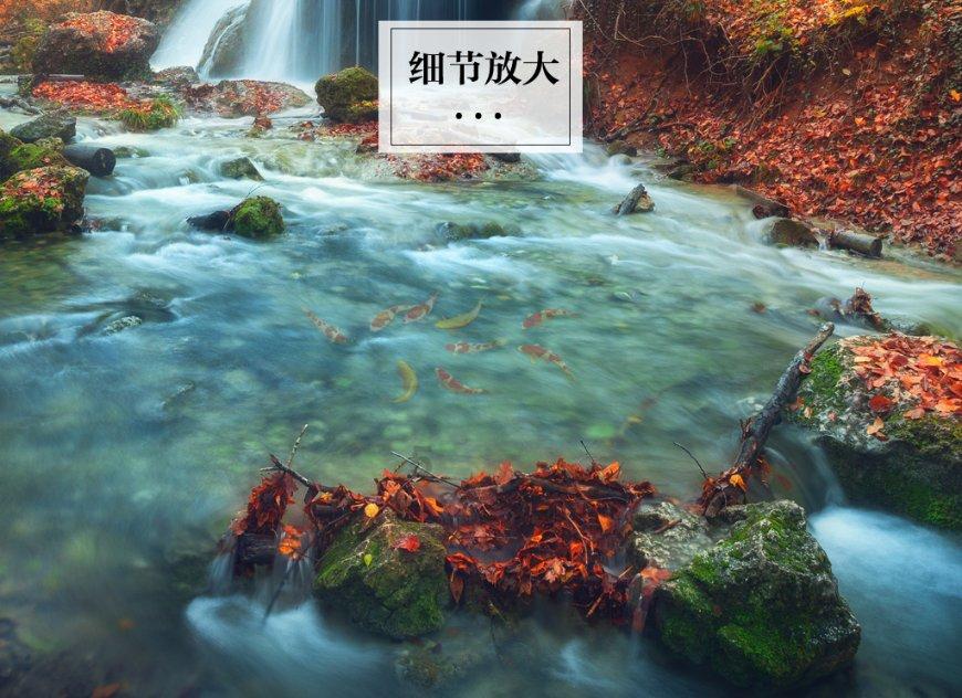 探索羊角蜜怎么吃|了解最新科技进展